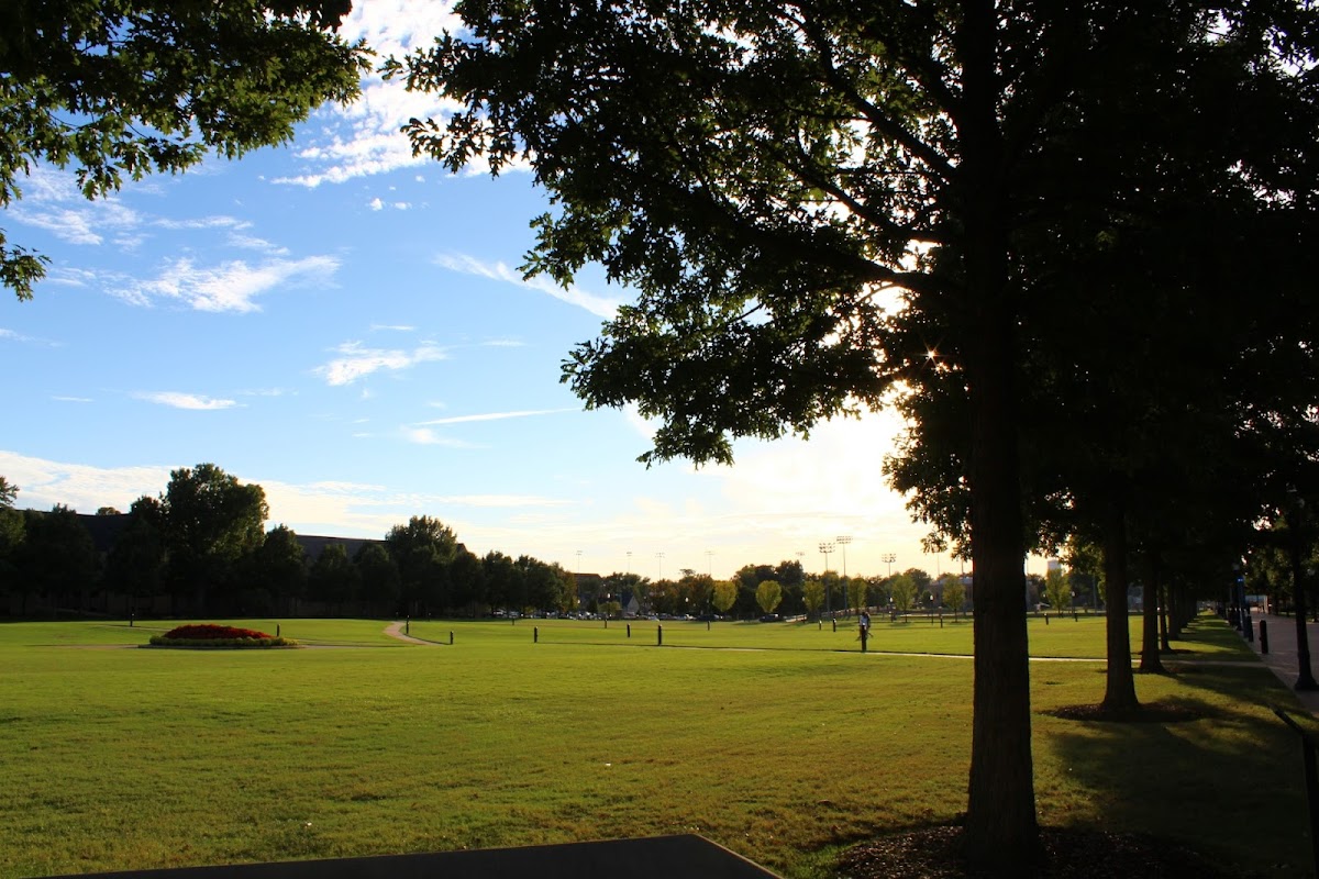 University of Tulsa photo 1