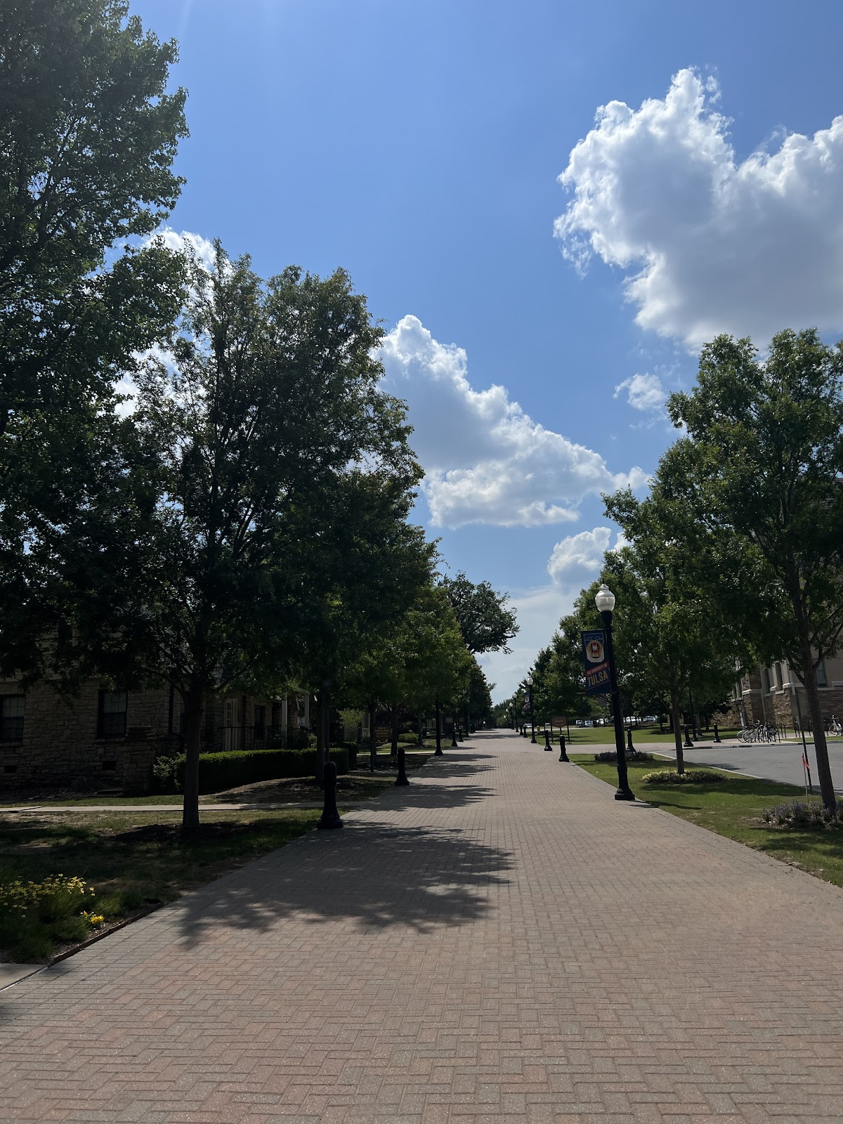 University of Tulsa photo 8