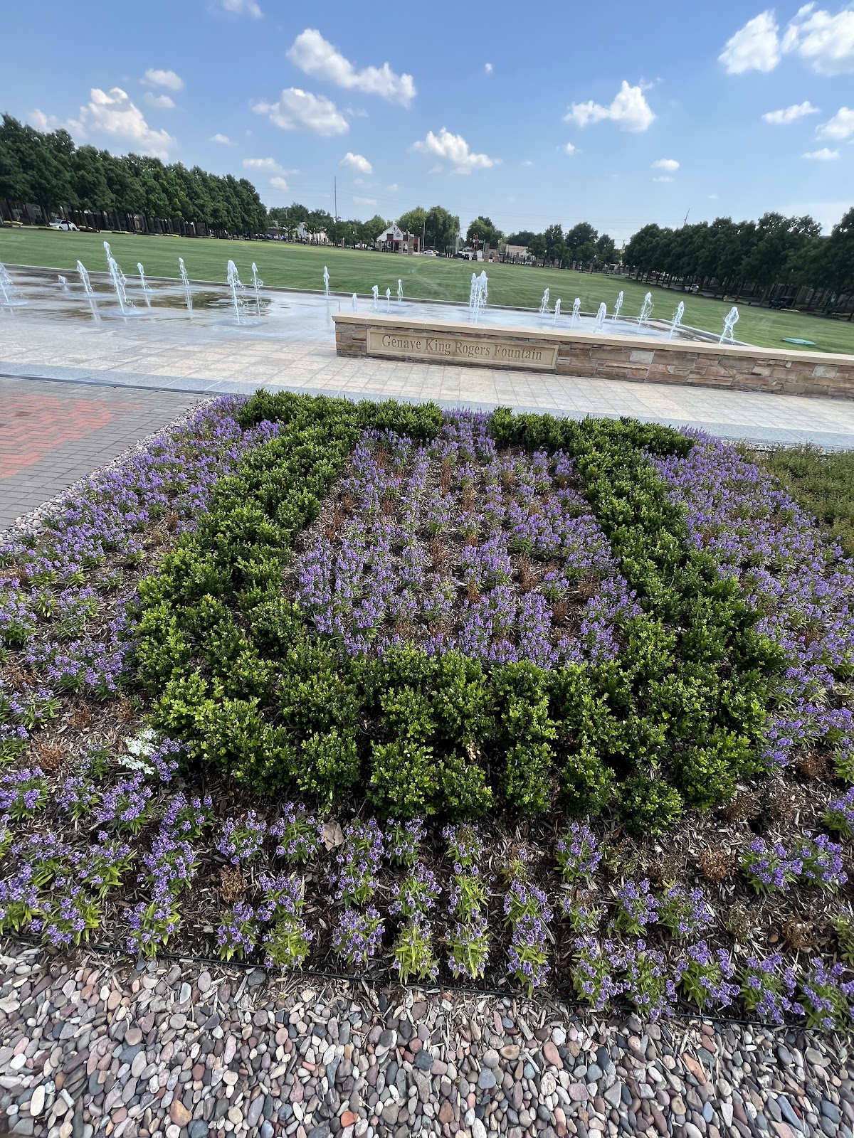 University of Tulsa photo 9