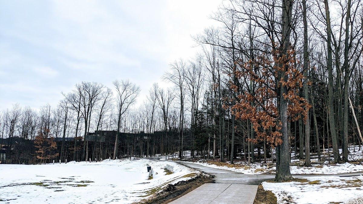 SUNY Binghamton photo 2