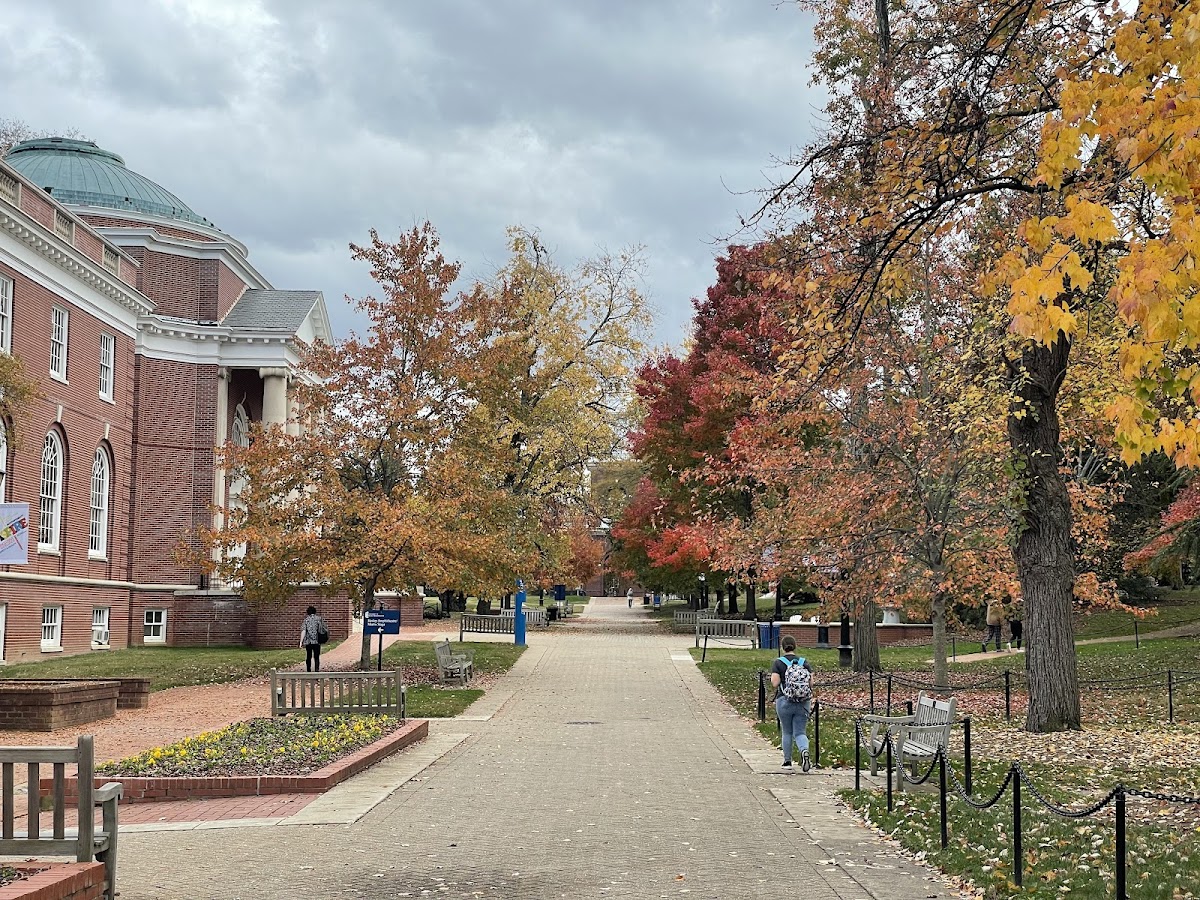 University of Mary Washington photo 2