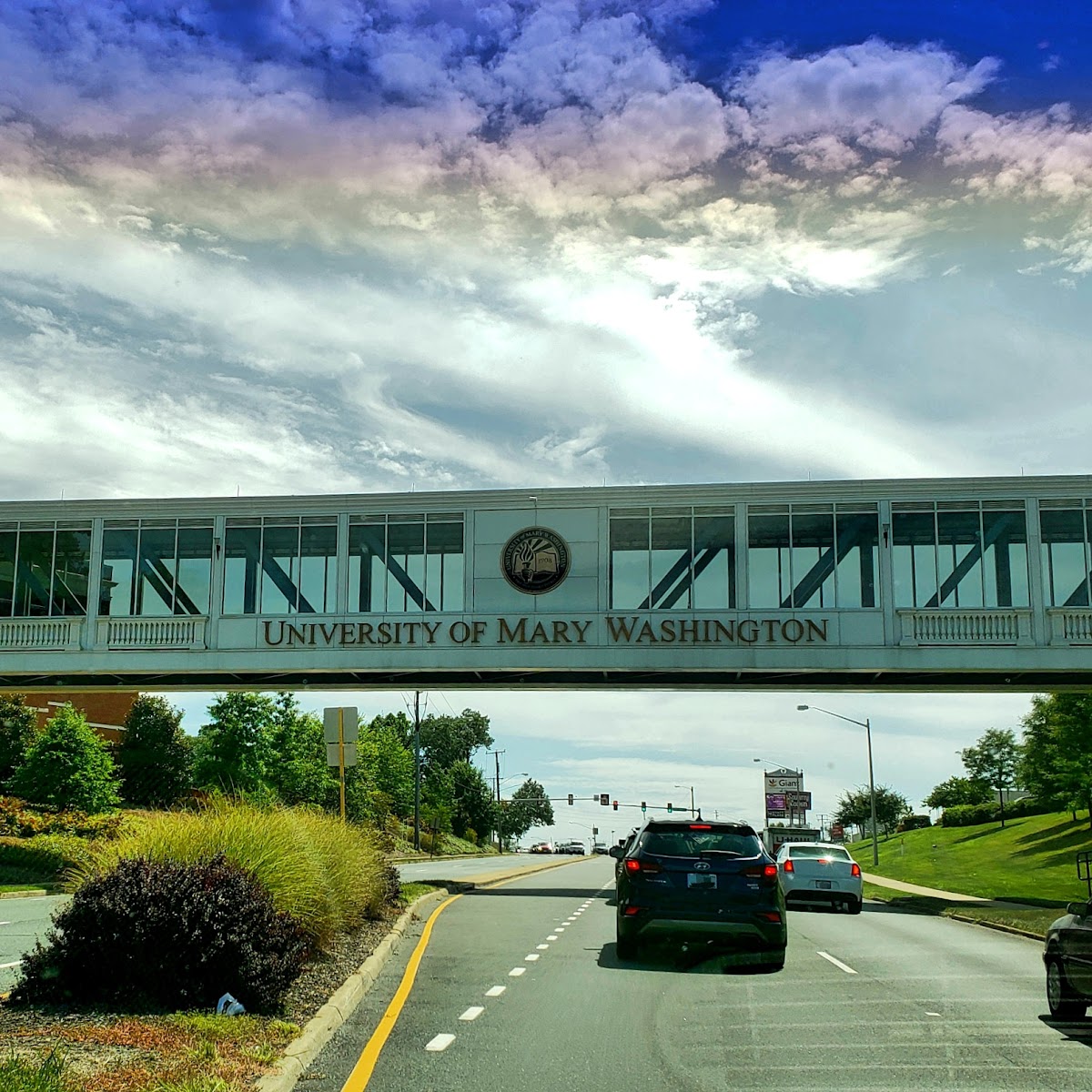 University of Mary Washington photo 5