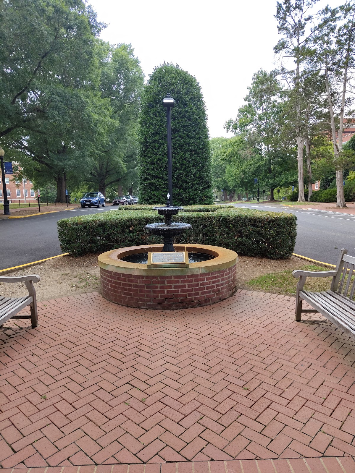 University of Mary Washington photo 8