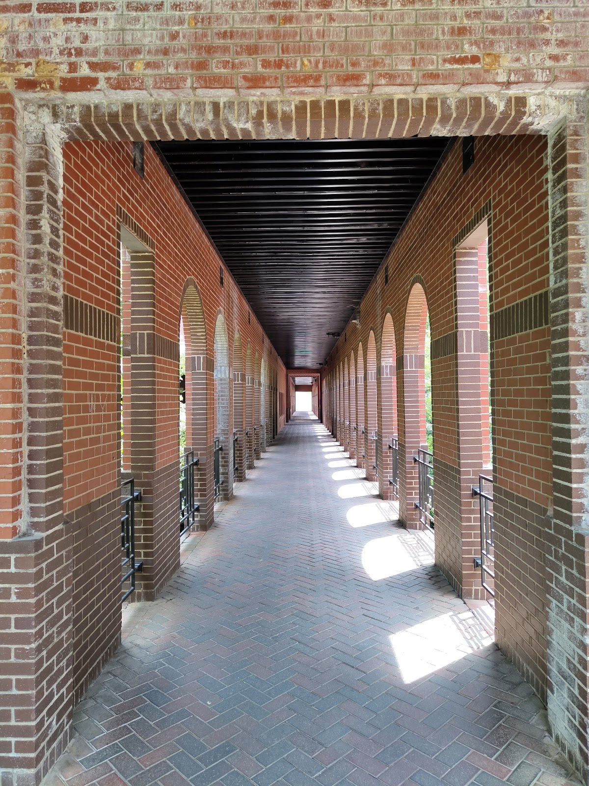 University of Mary Washington photo 9