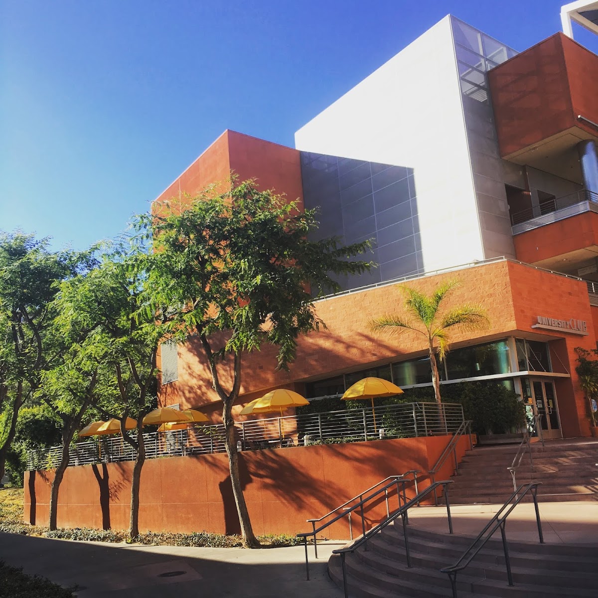 State University 3290 photo 8