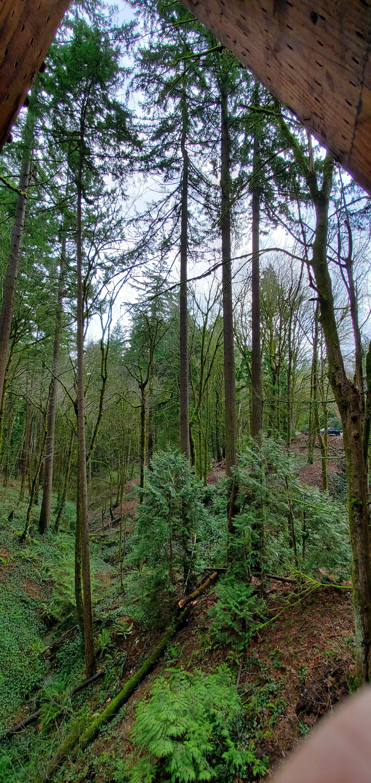 Lewis and Clark College photo 9