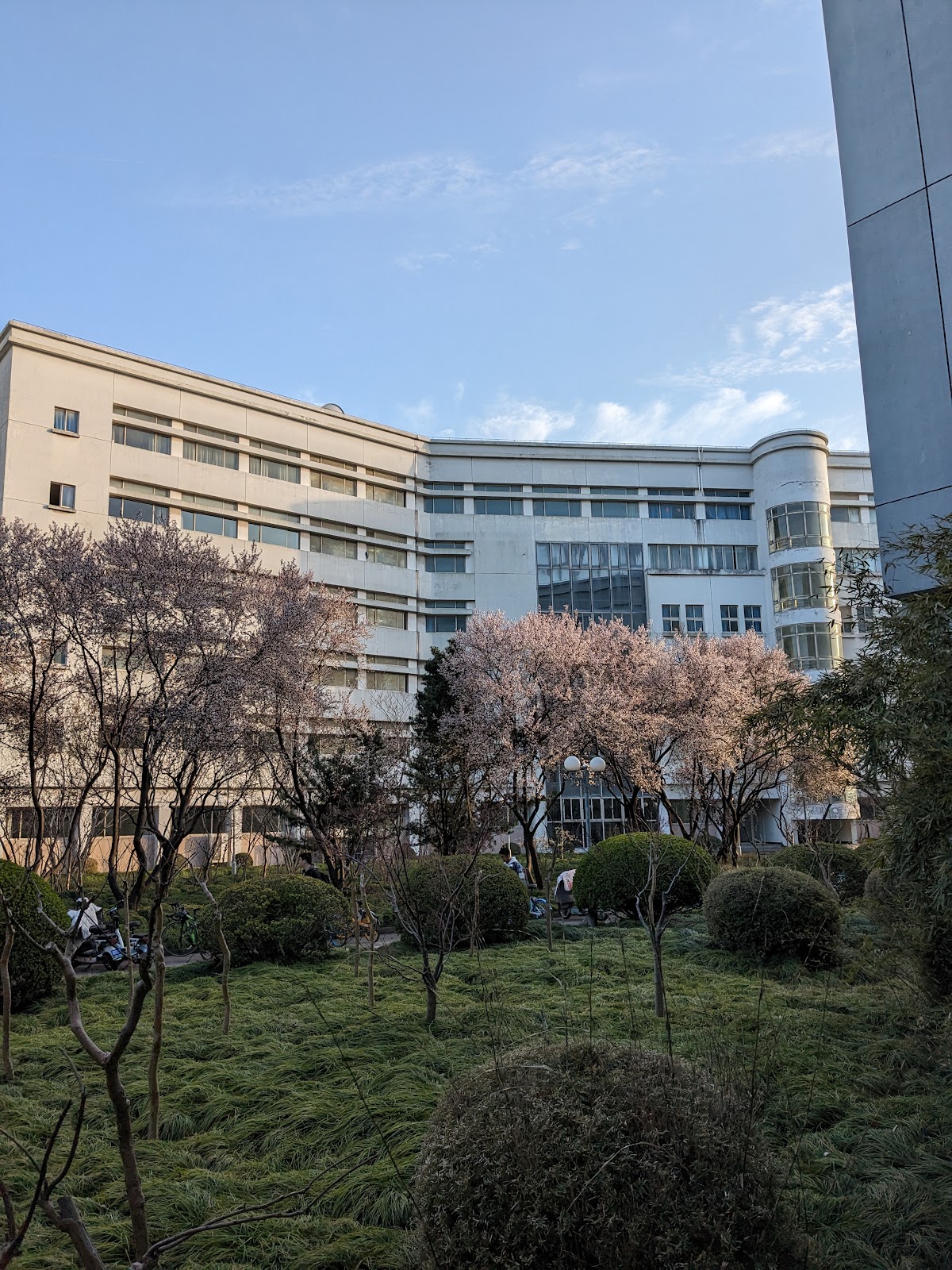 Shanghai University photo 9