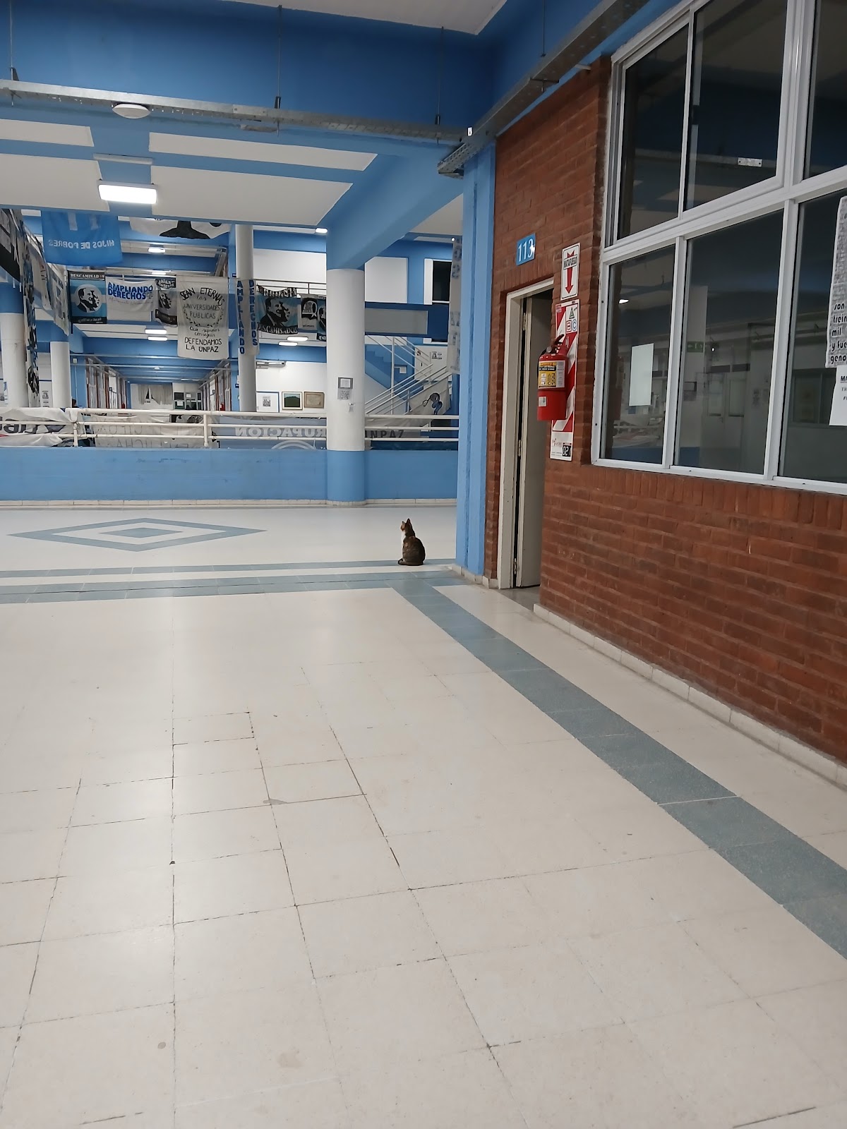 National University of José C. Paz photo 7