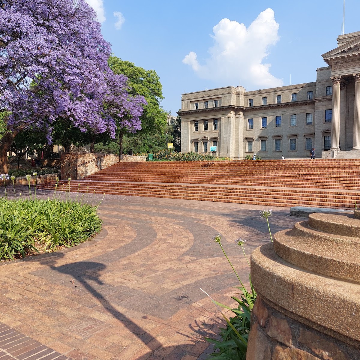 University of the Witwatersrand photo 6