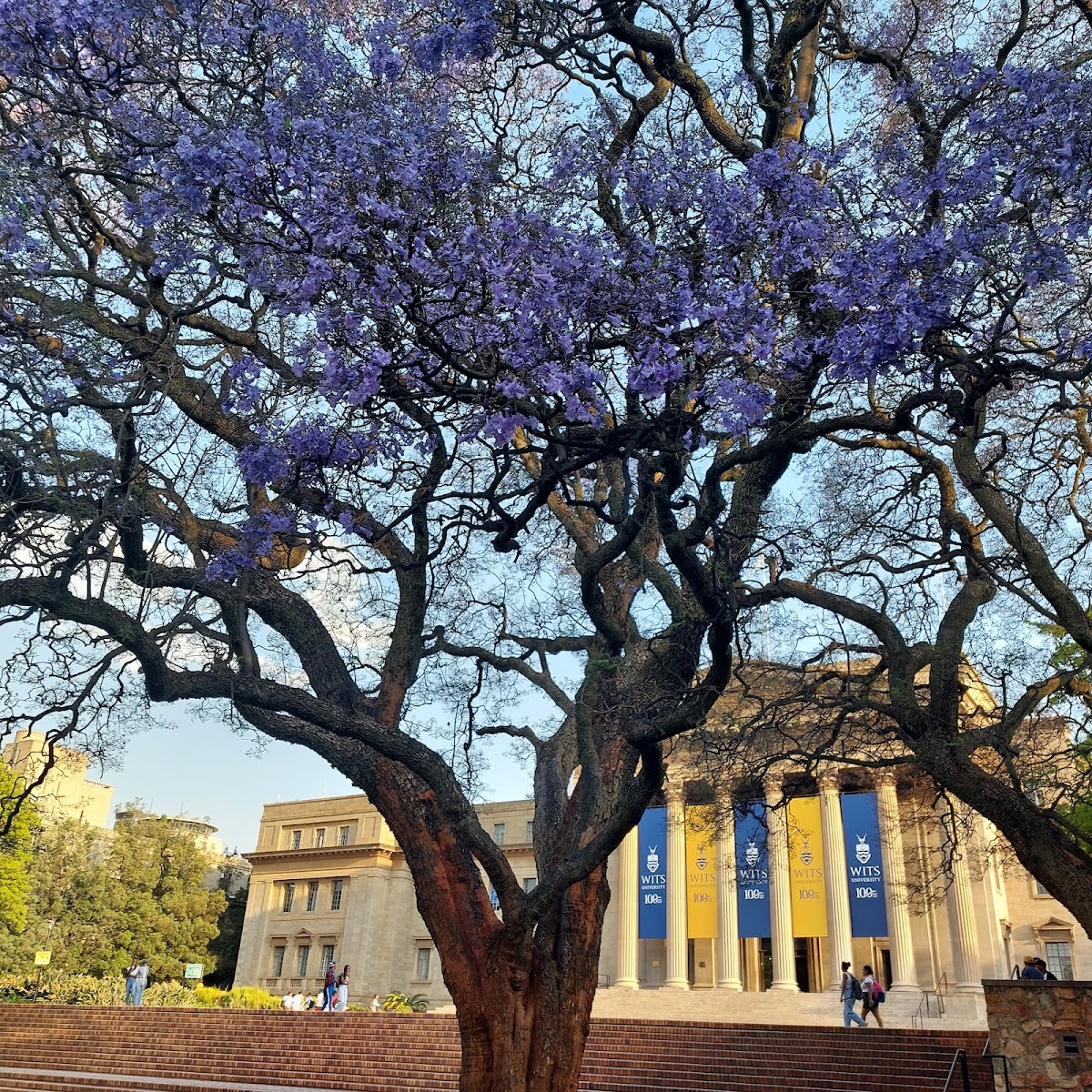 University of the Witwatersrand photo 7