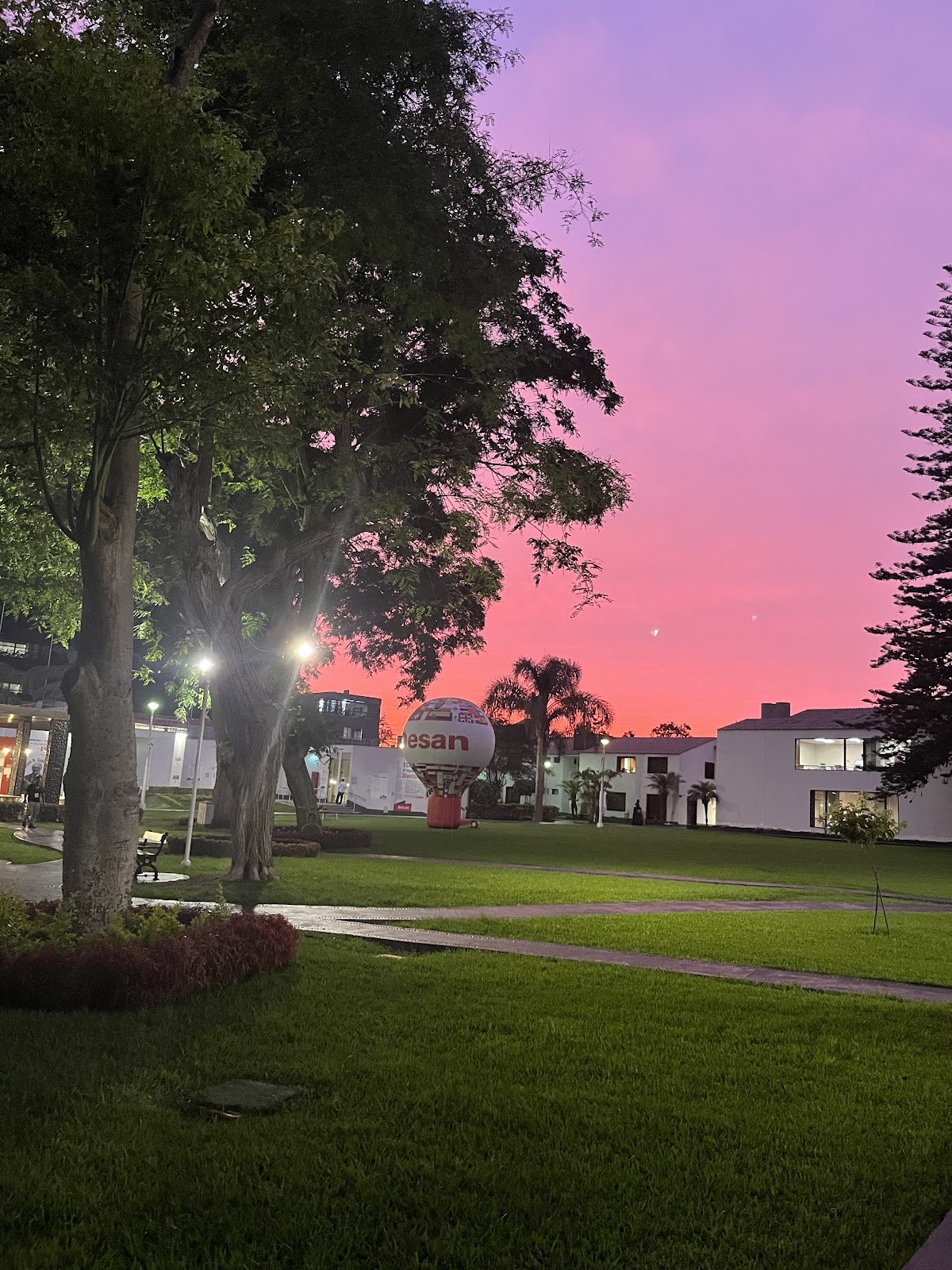 Universidad ESAN photo 7