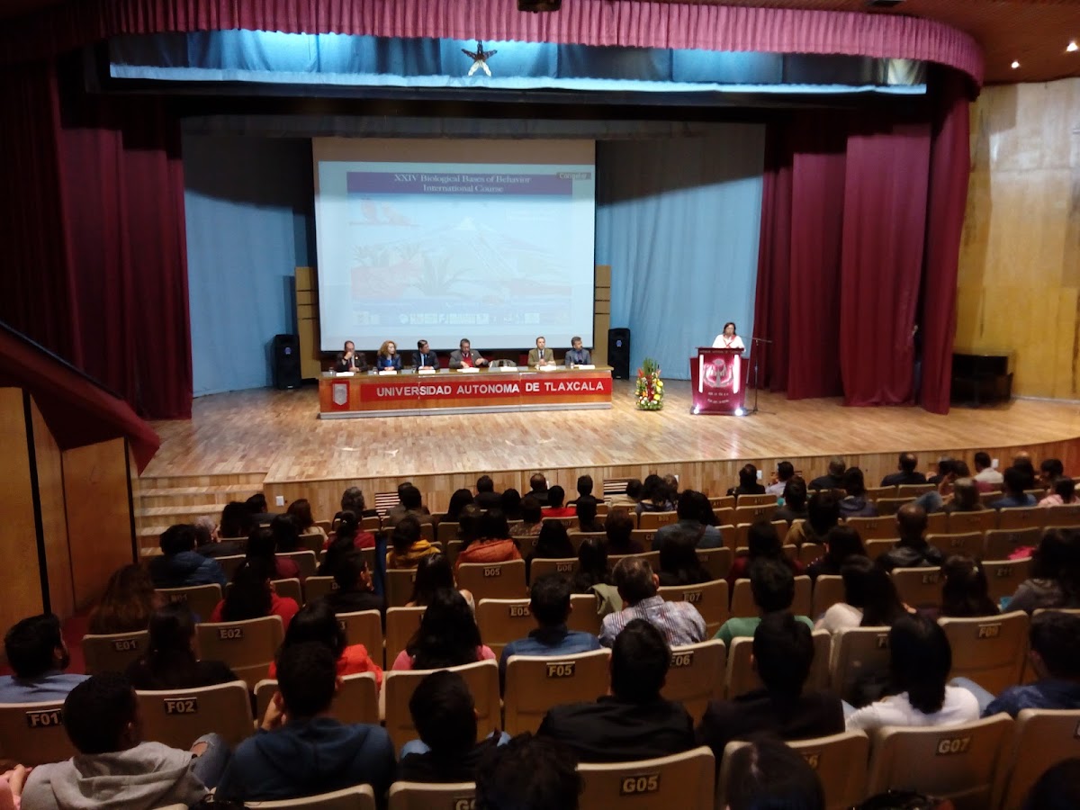 Autonomous University of Tlaxcala photo 4