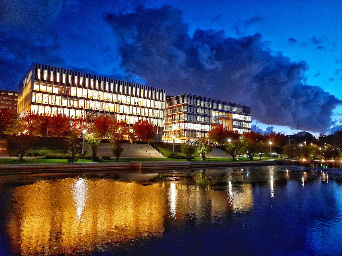 Erasmus University Rotterdam photo 3