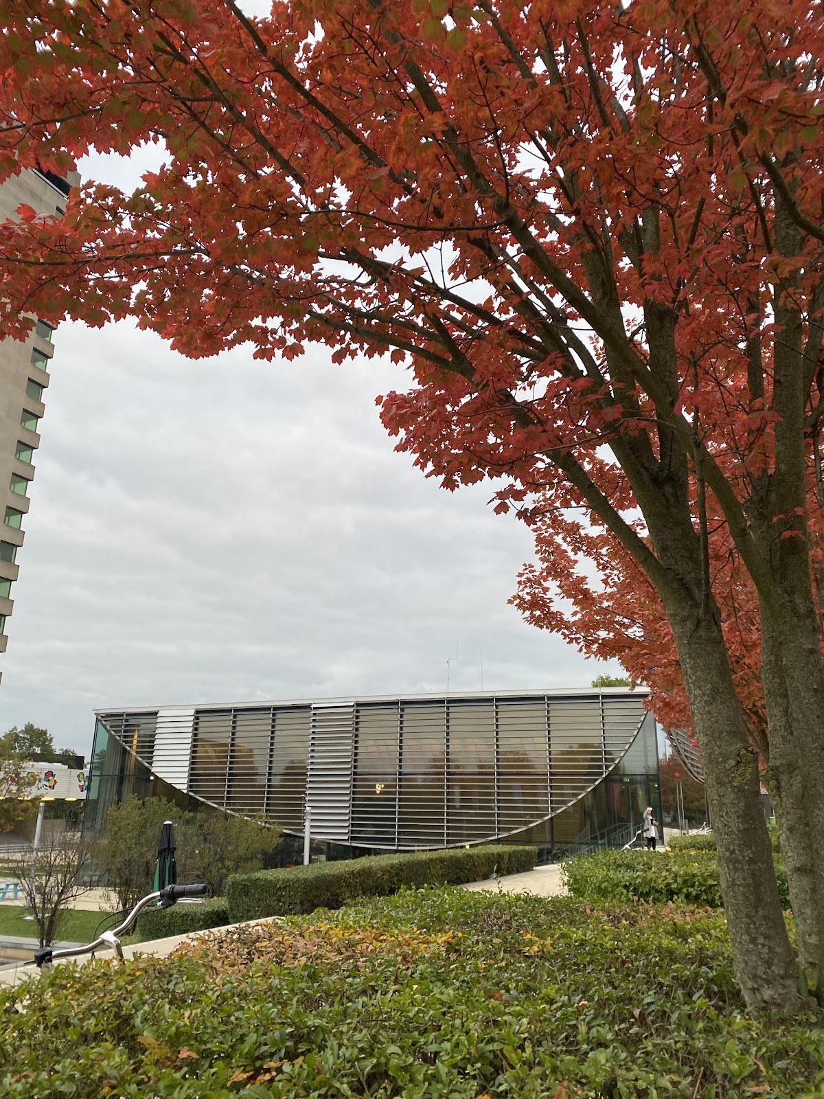 Erasmus University Rotterdam photo 8