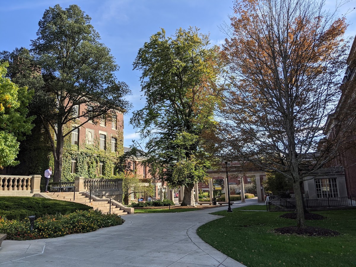 University of Rochester photo 5