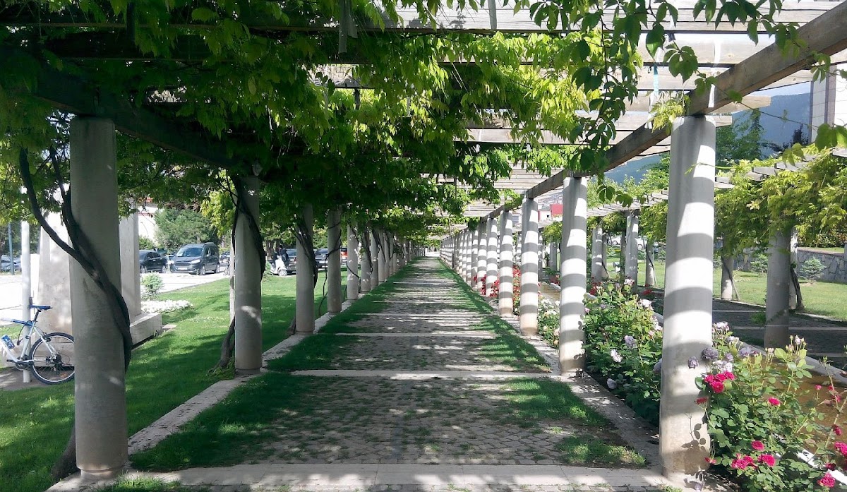 Pamukkale University photo 1