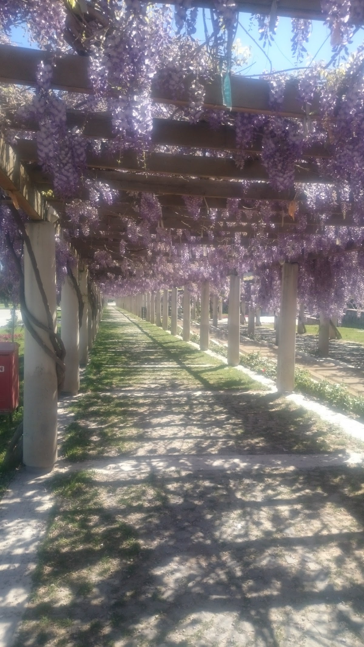 Pamukkale University photo 9