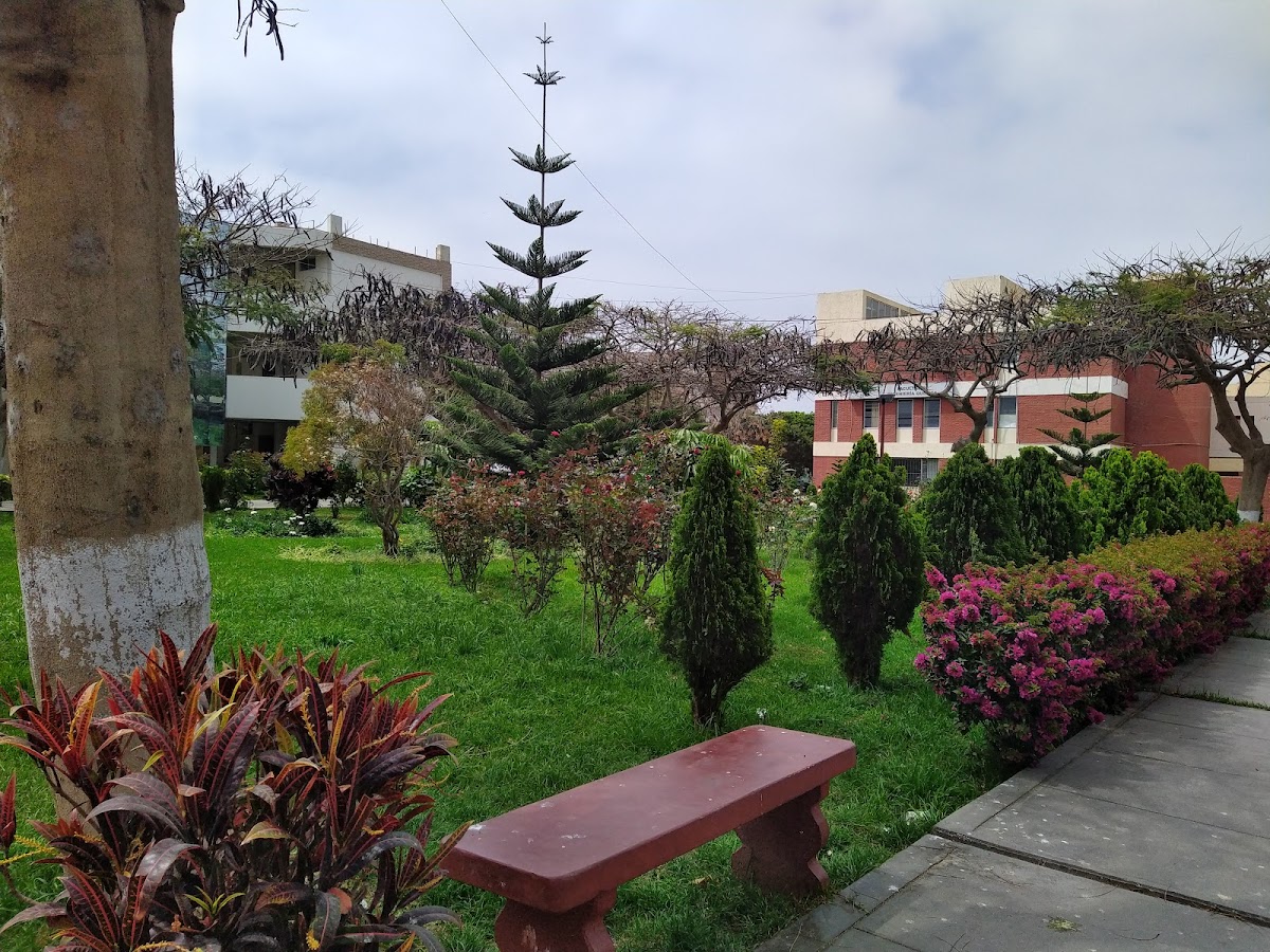 National University of Trujillo photo 5