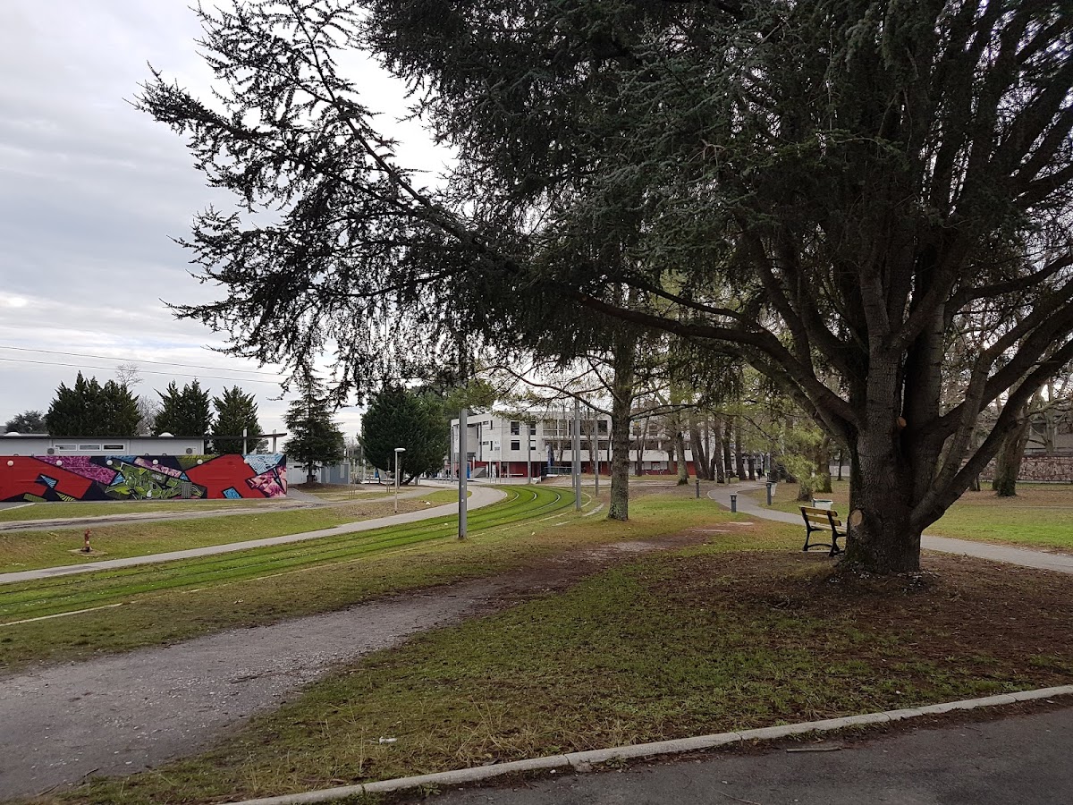 Université de Bordeaux photo 5