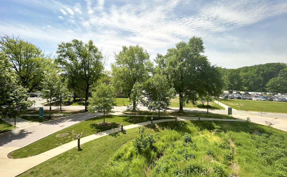 Anne Arundel Community College photo 3