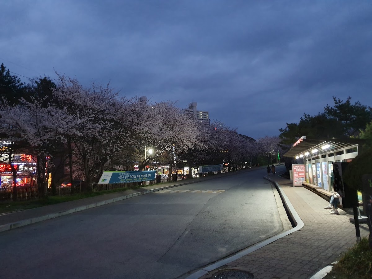 Soonchunhyang University photo 7