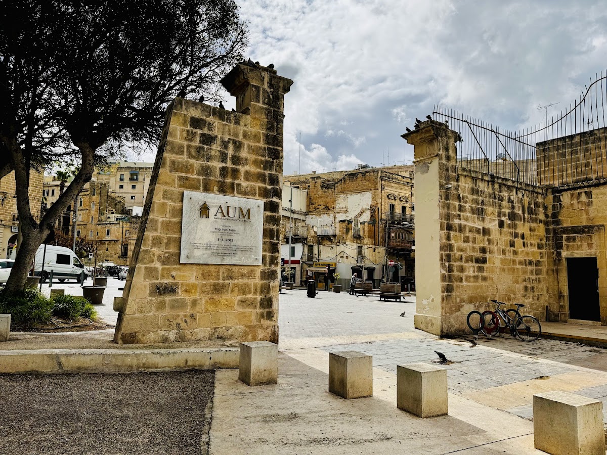 American University of Malta photo 5
