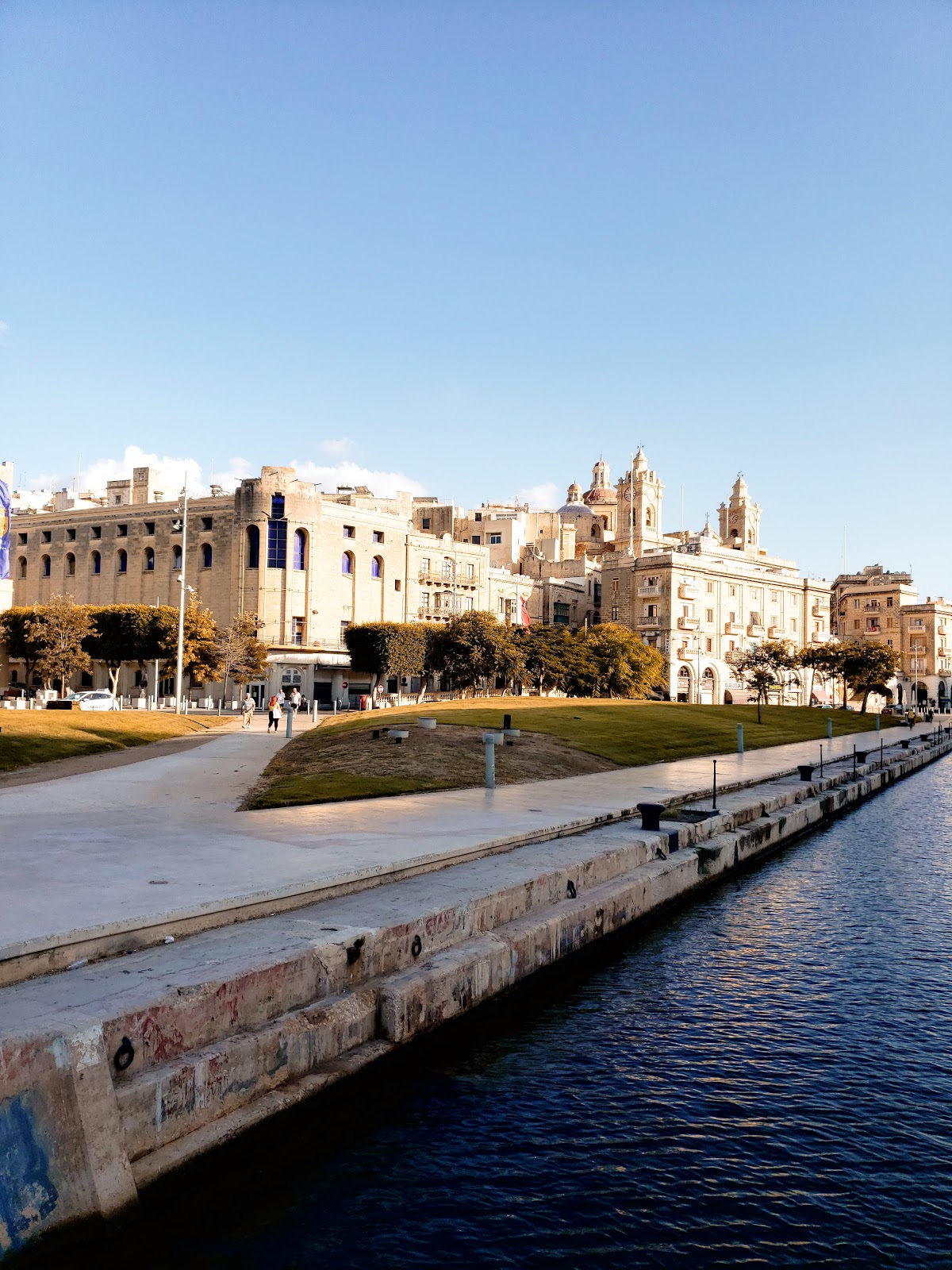 American University of Malta photo 7