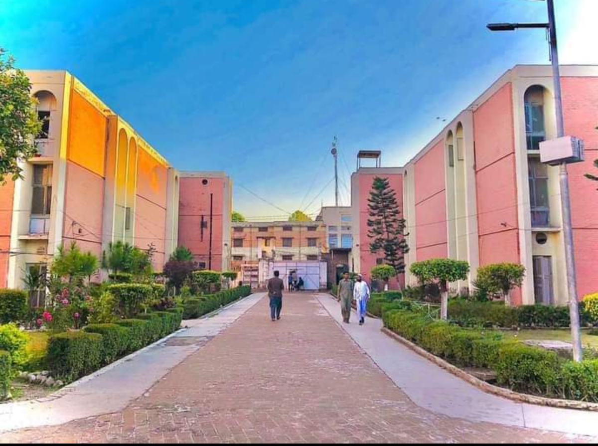 University of Peshawar photo 2