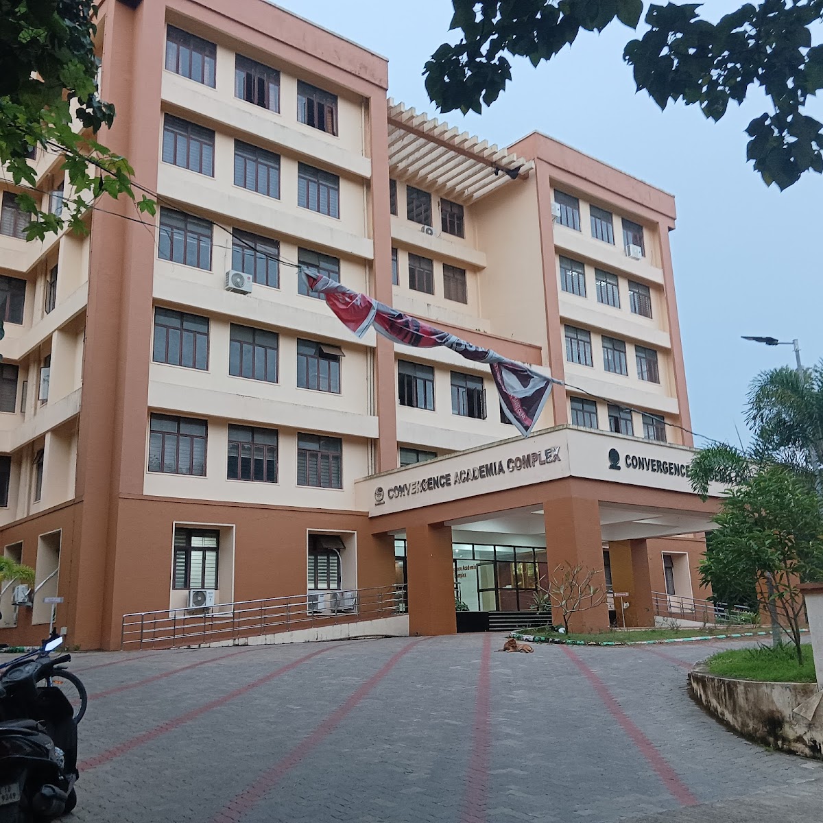 Mahatma Gandhi University photo 7