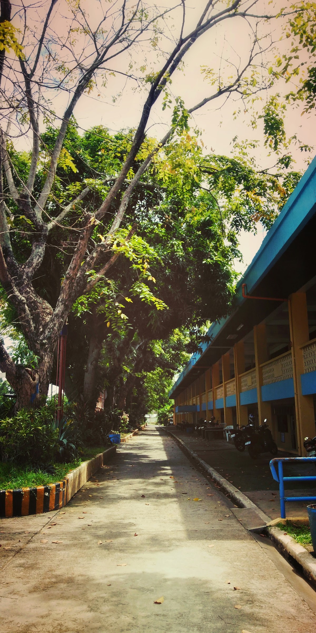 Naval State University photo 9