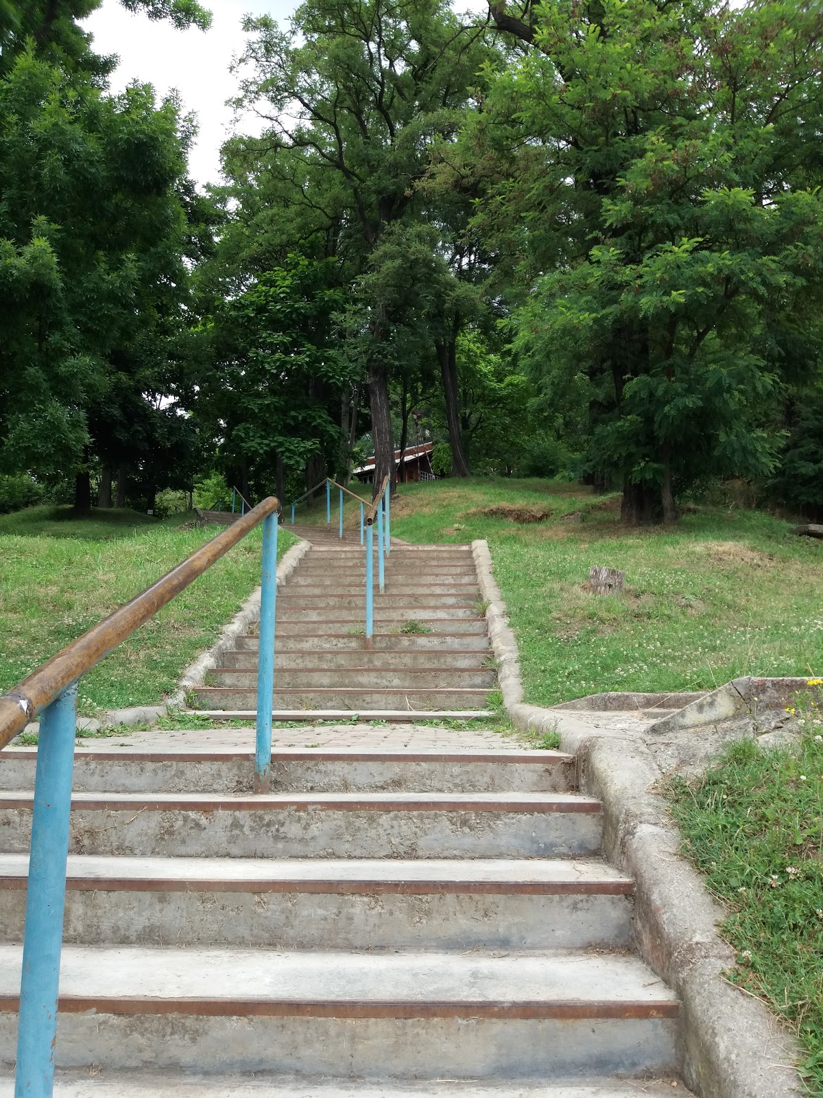 University of Petroșani photo 8