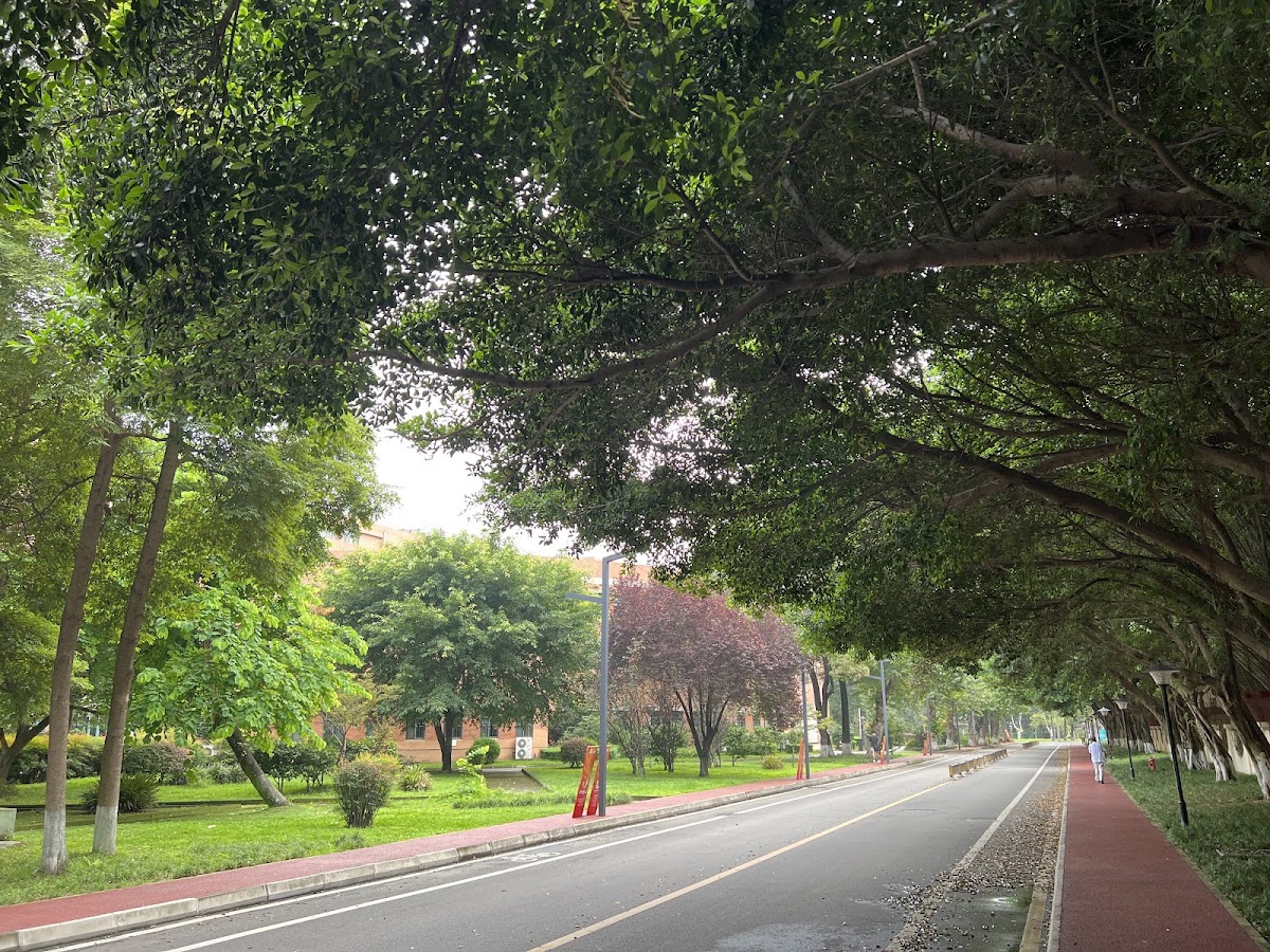 Sichuan University photo 6