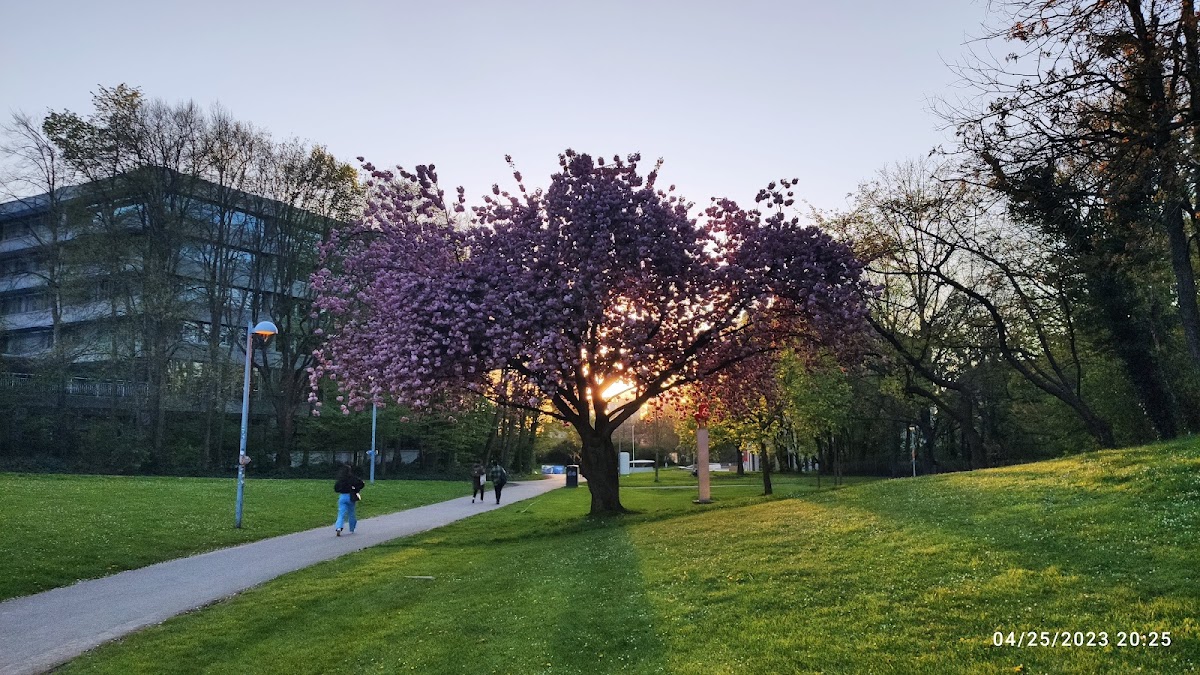 Vrije Universiteit Brussel photo 1