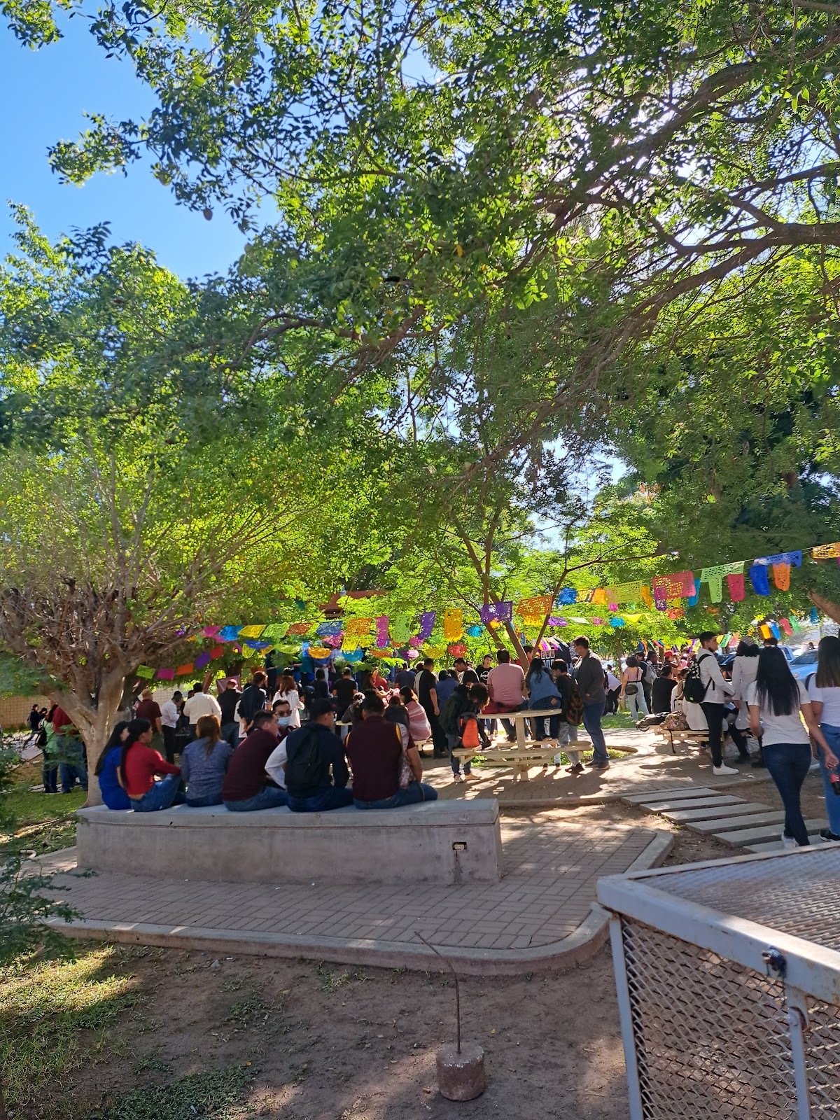 Universidad Autónoma de Occidente photo 9