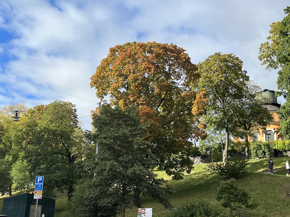 Kungstensgymnasiet photo 3