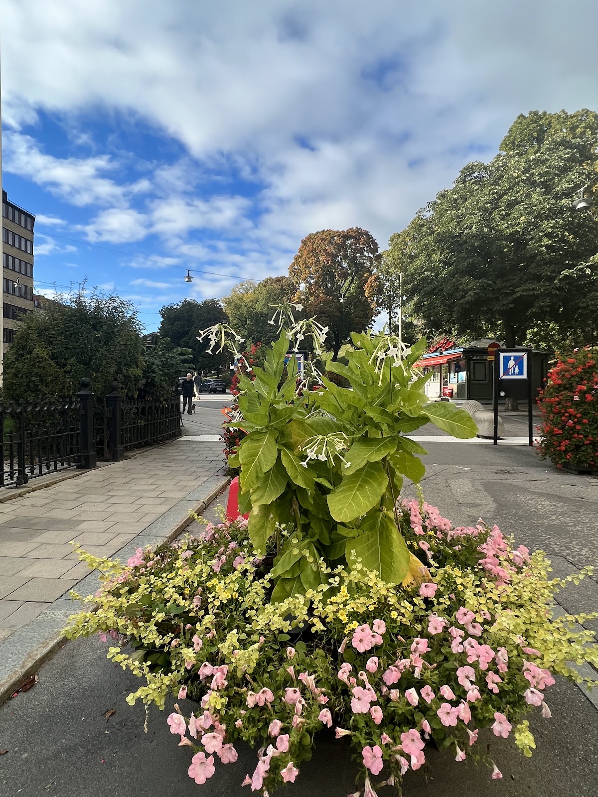 Kungstensgymnasiet photo 4