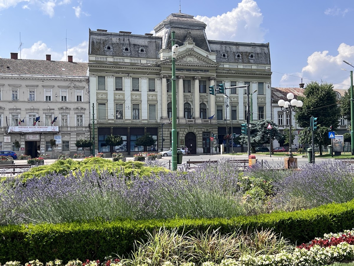 University of Arad photo 3