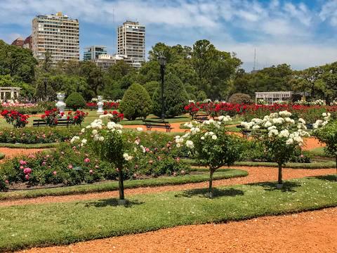 University of Buenos Aires photo 6