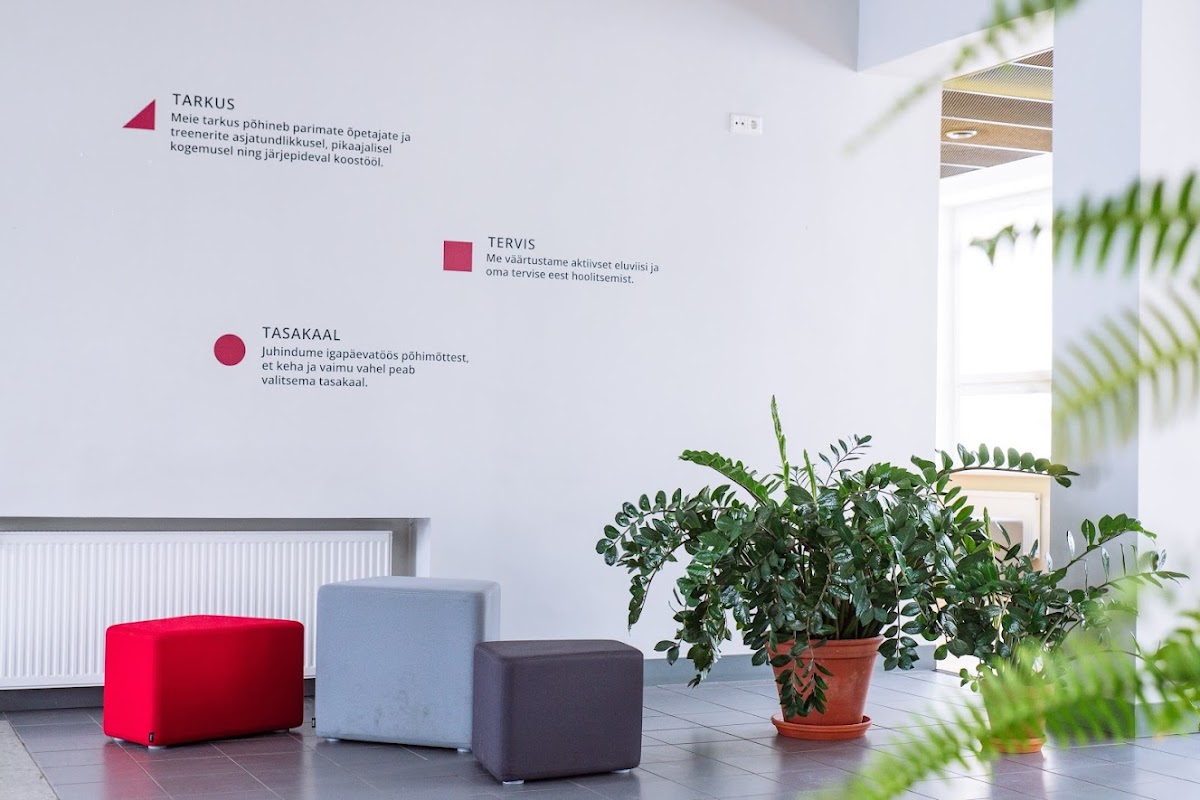 International University Audentes photo 5