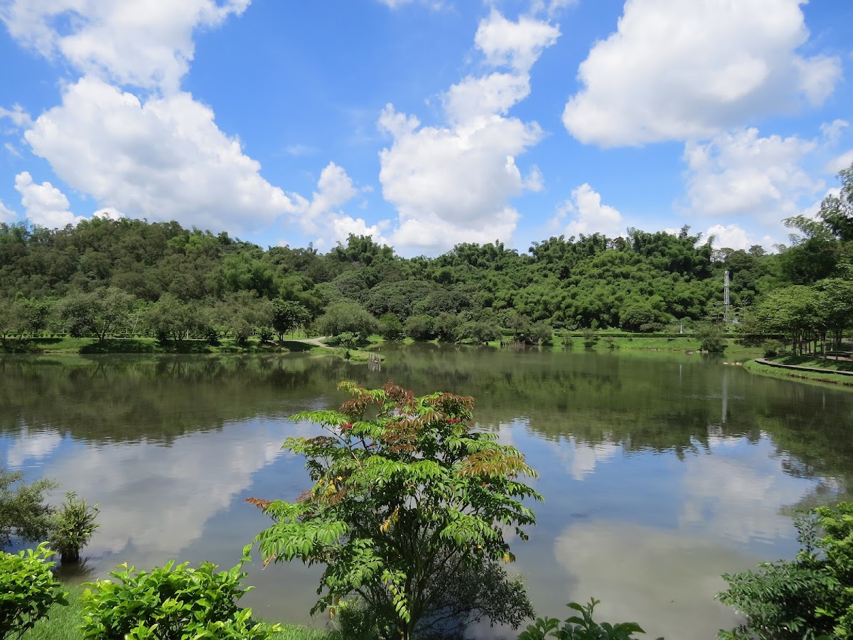 National Pingtung University of Science and Technology photo 5