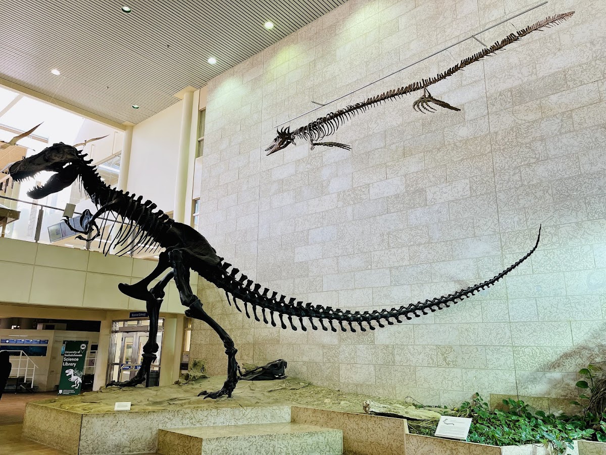 University of Saskatchewan photo 6