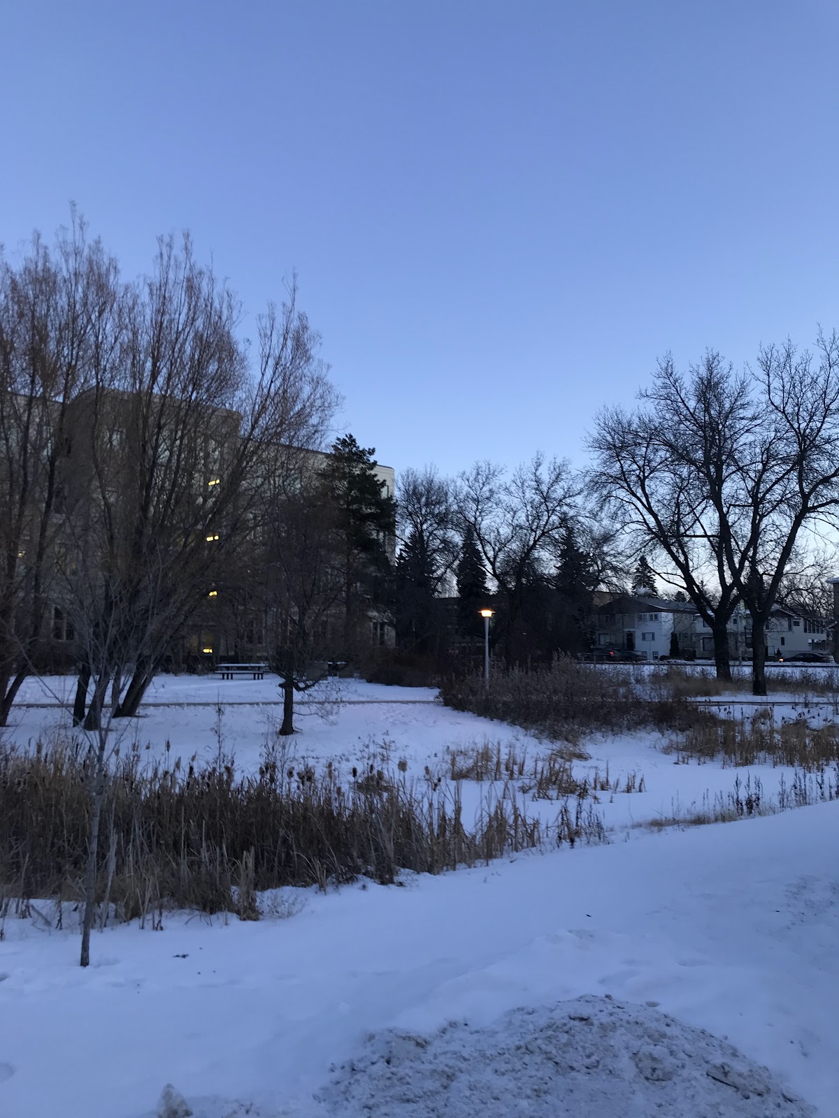 University of Saskatchewan photo 8