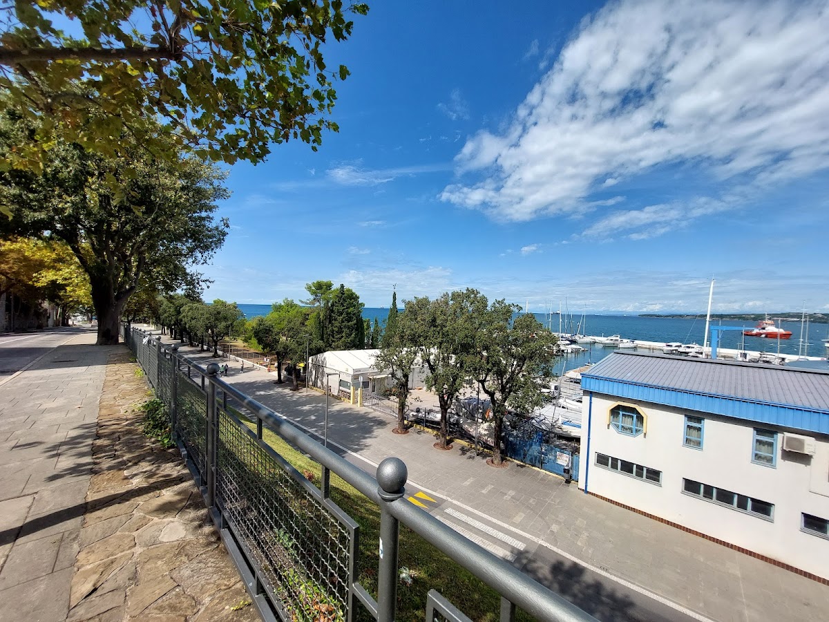 Faculty of Mathematics, Natural Sciences and Information Technologies, University of Primorska photo 5