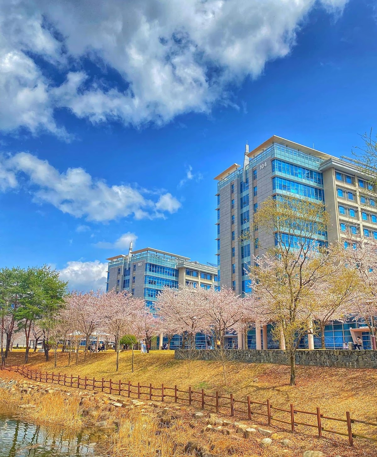 Ulsan National Institute of Science and Technology (UNIST) photo 7