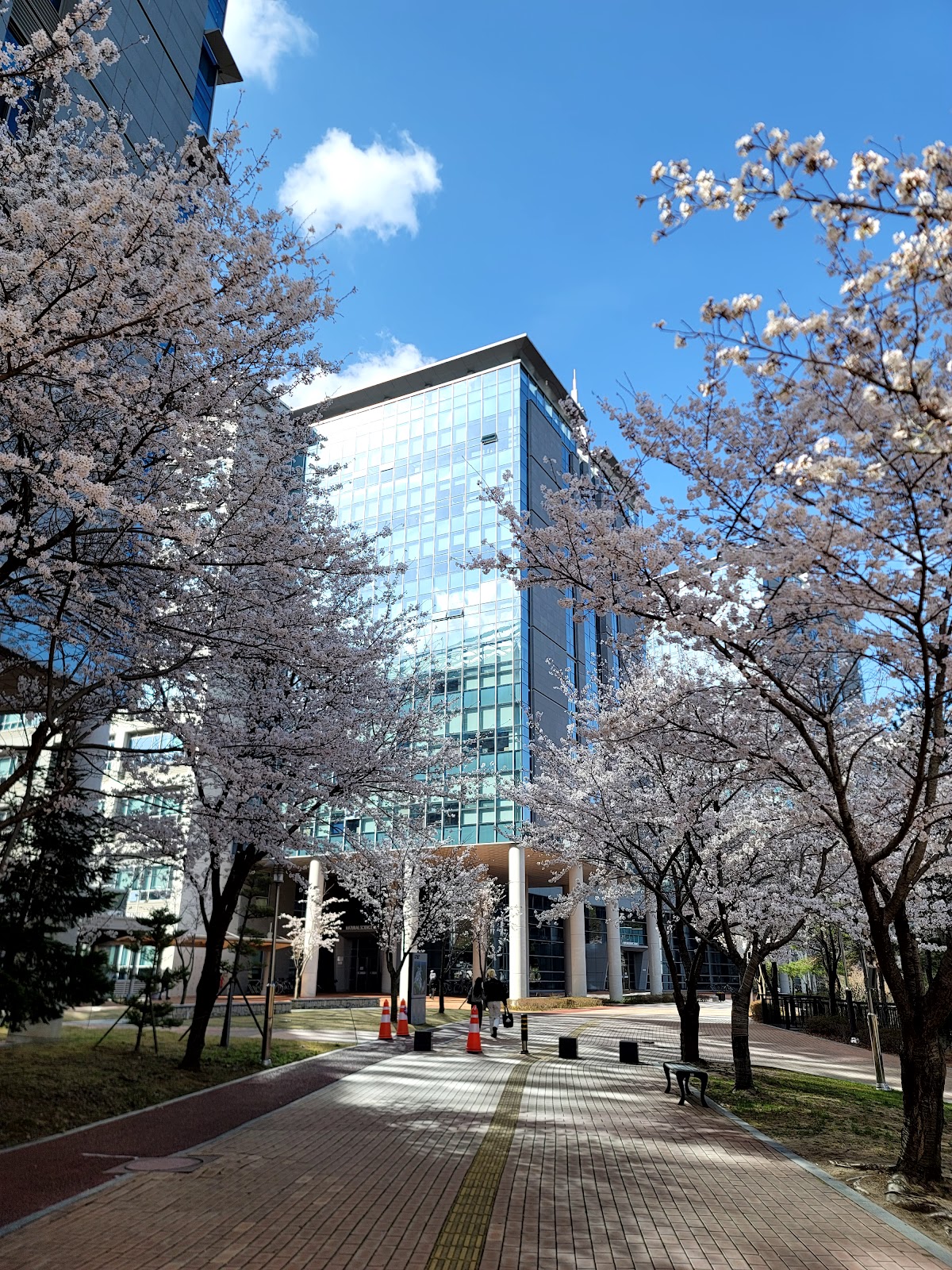 Ulsan National Institute of Science and Technology (UNIST) photo 8