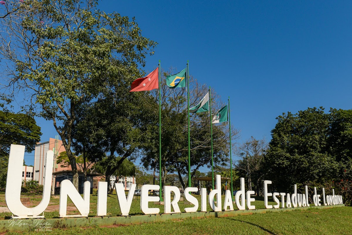 State University of Londrina photo 6