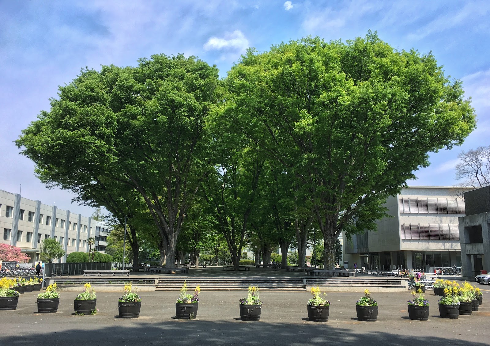 Tokyo Gakugei University