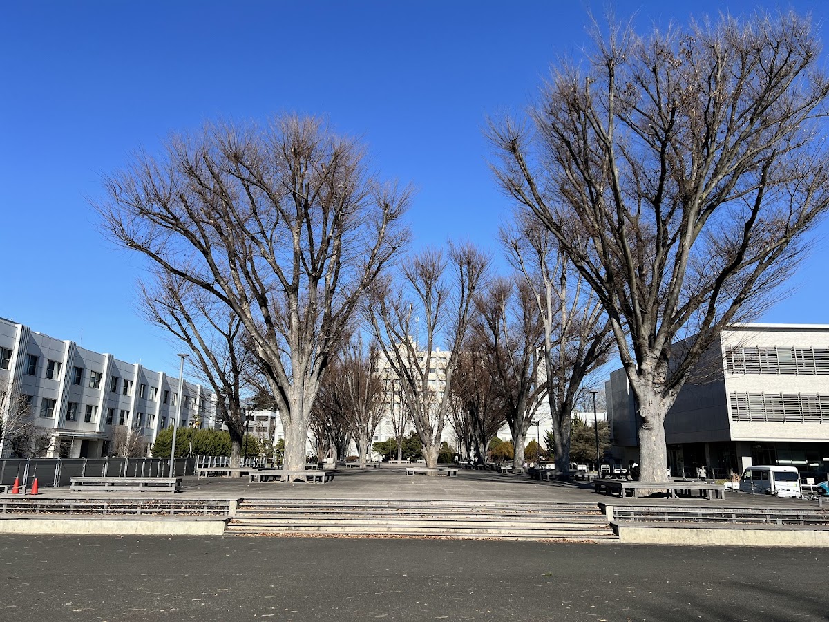 Tokyo Gakugei University photo 5