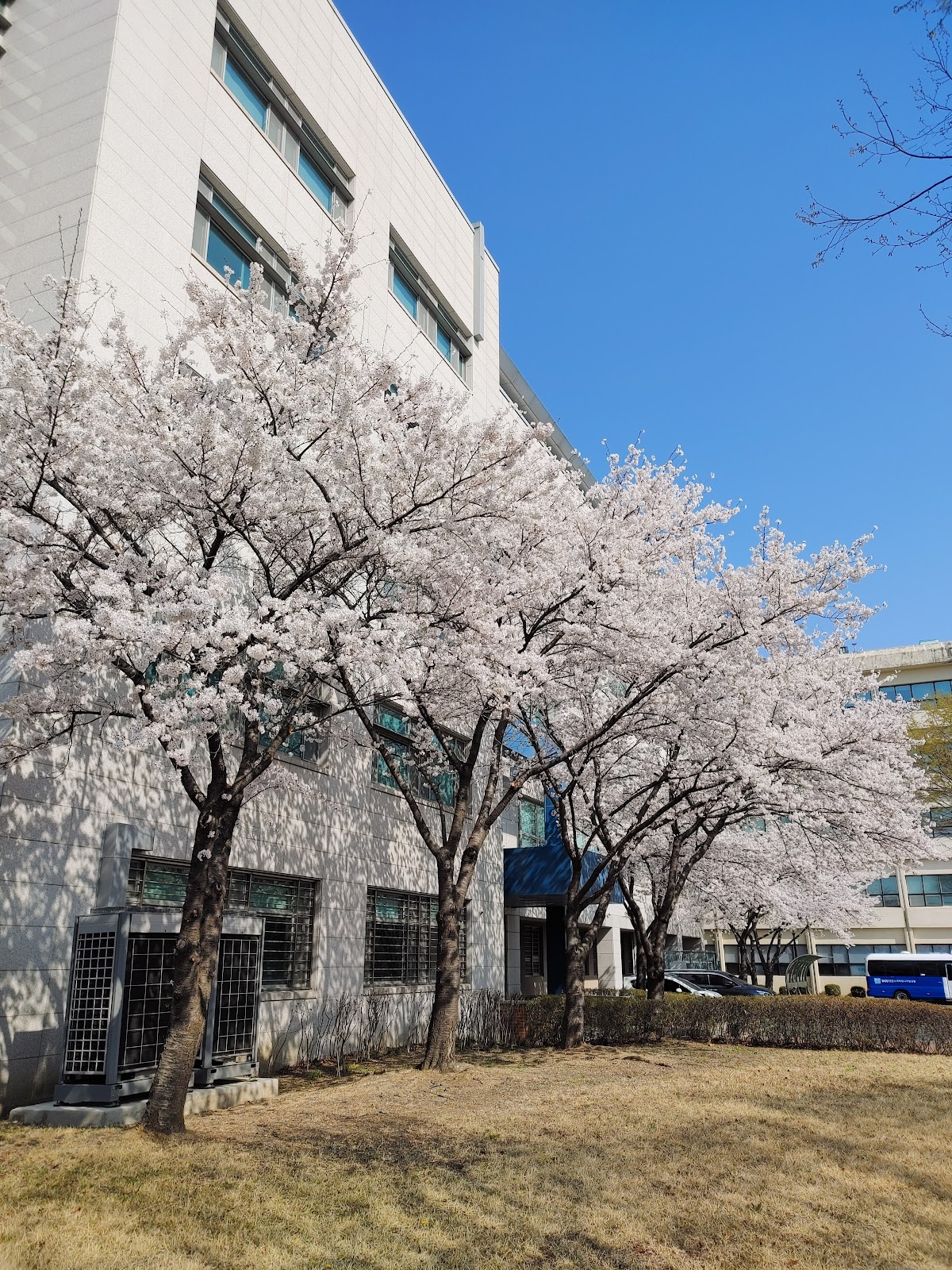 Catholic University of Daegu photo 9