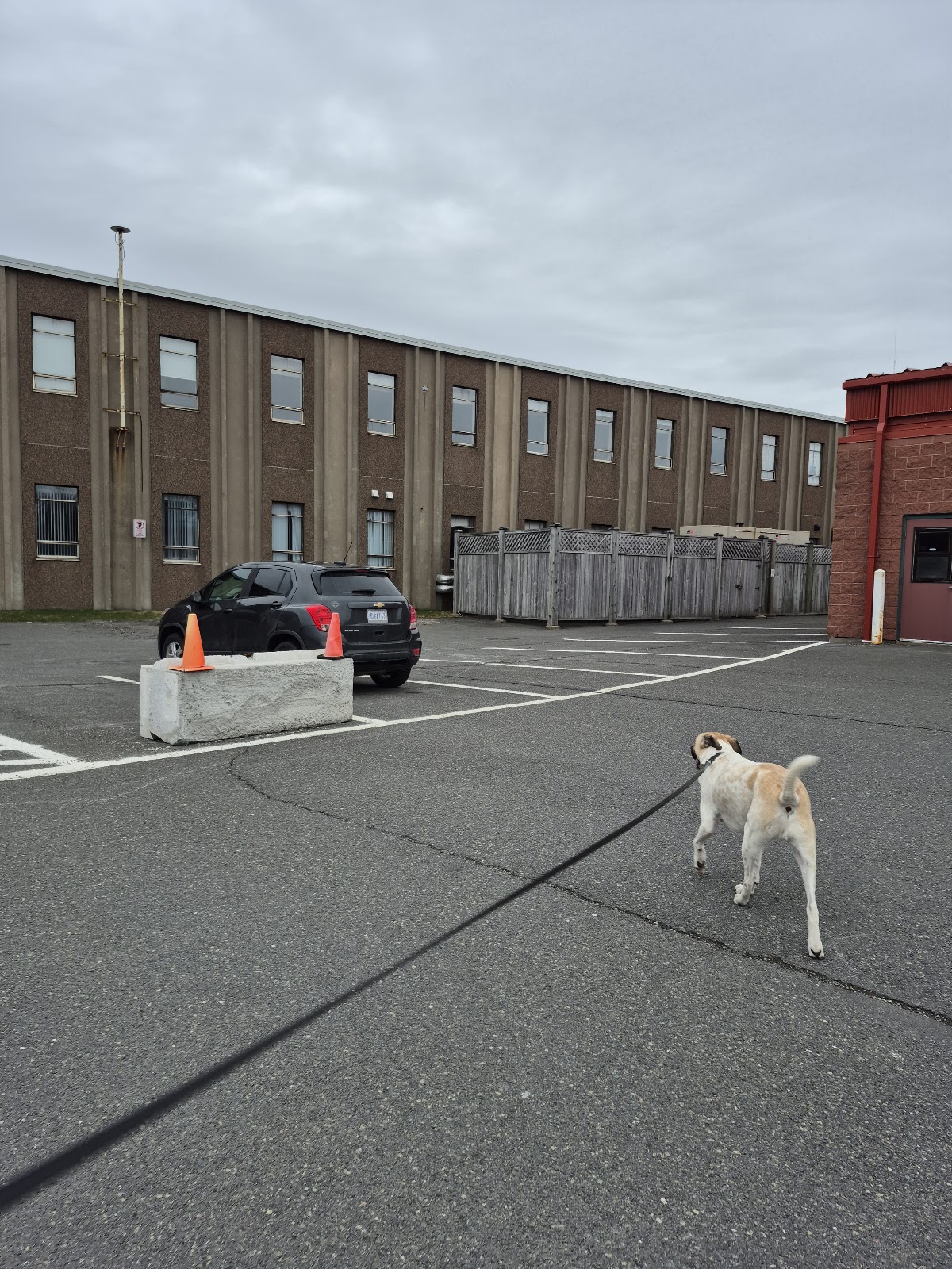 Cape Breton University photo 6